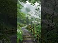 Soft Rain Noise Stress Relief #RainSounds #HeavyRain #Thunderstorm #