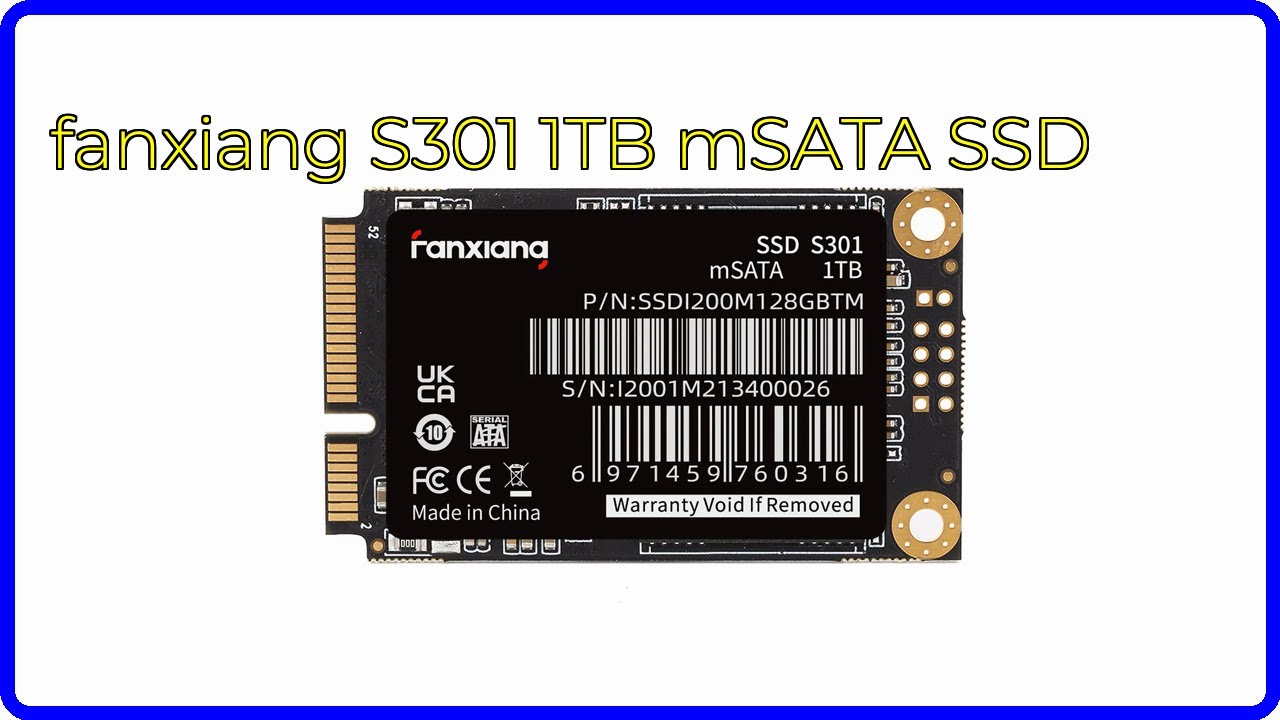 REVIEW (2026): fanxiang S301 1TB mSATA SSD. ESSENTIAL details