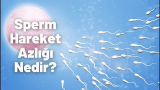 Sperm Hareket Azlığı Nedir? -Prof Dr Ömer Faruk Karataş