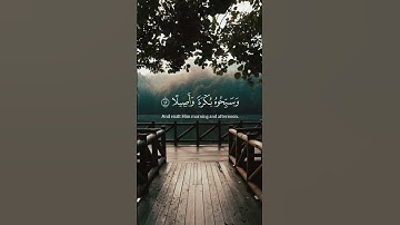 (اذكروا الله ذكرا كثيرا) سورة الأحزاب للقارئ الشيخ |ياسر الدوسري| #ياسر_الدوسري #قرآن #quran