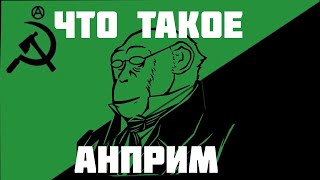 Что такое анприм?