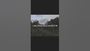 "تلاوة مؤثرة: قالا ربنا إننا نخاف أن يفرط علينا أو أن يطغى | سورة طه"     #