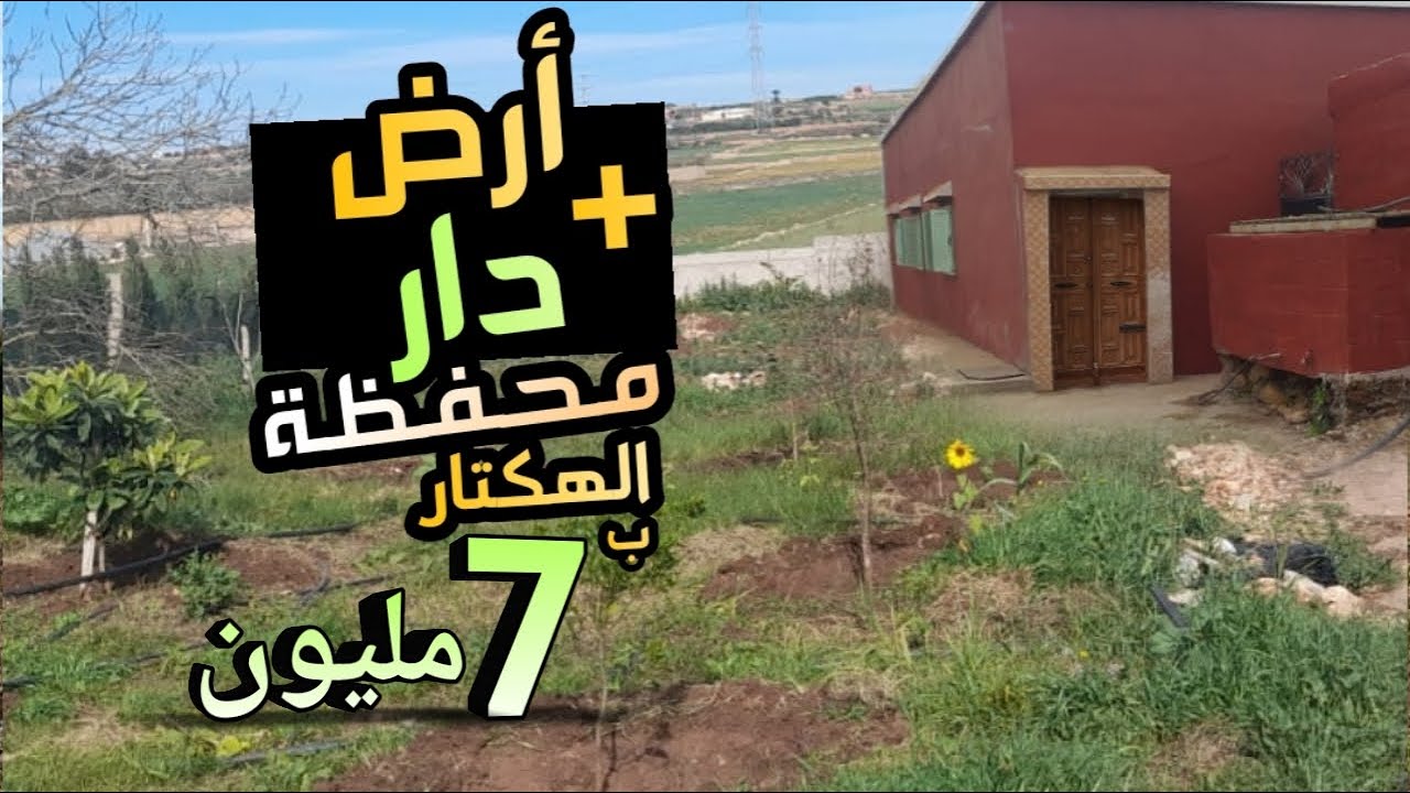 أرض للبيع و فيها دار و الكوري محفظة هوتا هكتار ب 7 مليون فقط