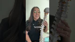 NEW SERIES: THE GONSTEAD METHOD #chiropractic -#gonsteadchiropractic #gonsteadwellness #gonstead