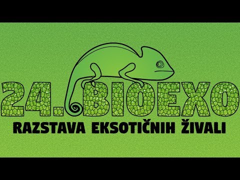 Video: Za prostor za pajkanje?