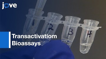 In Vitro Transactivatiom Bioassays to screen for Endocrine Activity | Protocol Preview