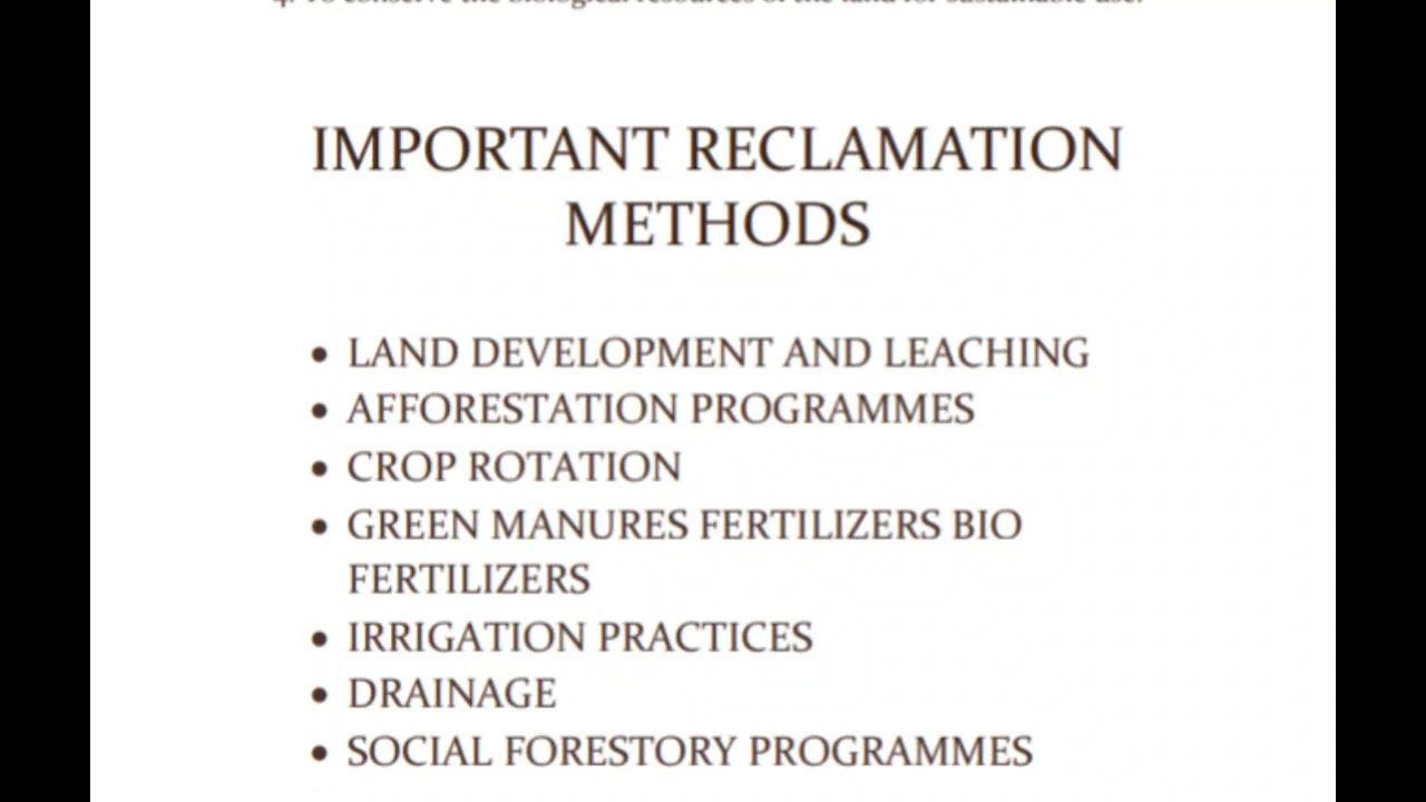 Waste land reclamation EVS unit 6 YouTube