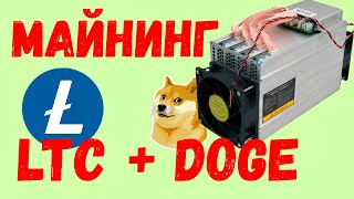 Майнинг на асике L3+ Litecoin и Doge. Сравнение ДВУХ пулов