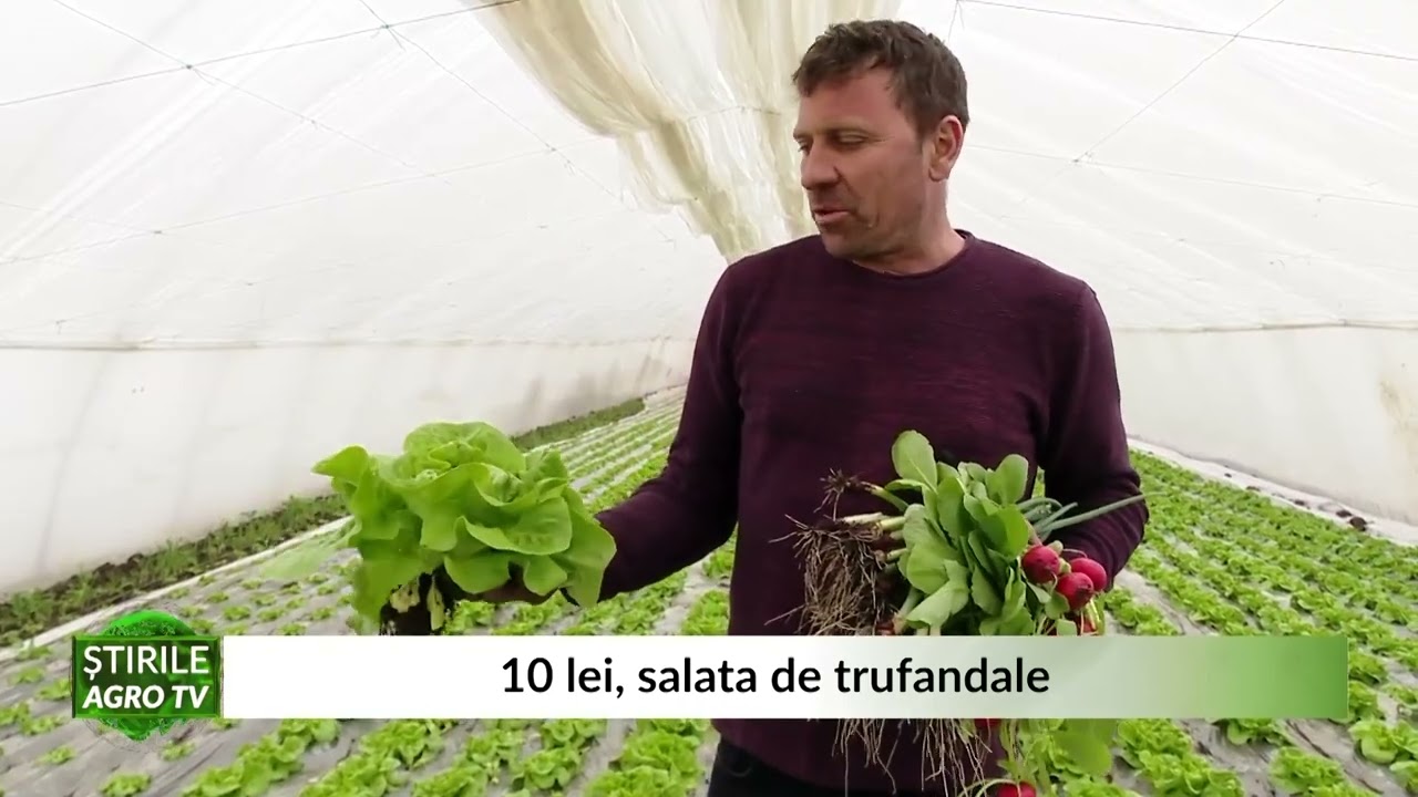 VIDEO Trufandalele de primăvară, gata de vânzare. Dar la ce preț? 1 VIDEO Trufandalele de primăvară, gata de vânzare. Dar la ce preț? YouTube player