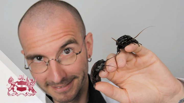 Forensic Entomology: Insect Deputies can Solve Cri...