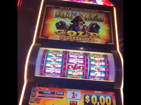 buffalo gold collection slot buffalo gold collection slot