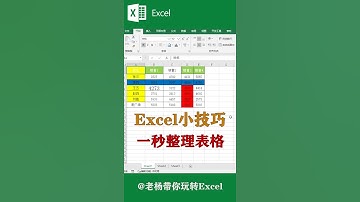 Excel tutorial Excel教程：一秒整理表格，你学会了吗？Excel教學excel函數excel技巧Excel演示教学. #Shorts