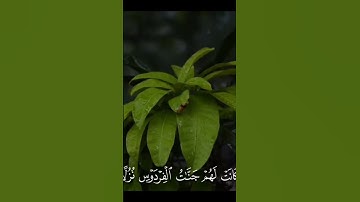 القارئ علي جابر #اكسبلور #viralvideo #القرآن_الكريم #ايات_قرانيه_قصيره #قرآن #راحة_نفسية #subscribe