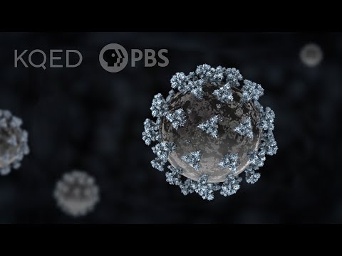 How The Coronavirus Attacks Your Lungs | Deep Look