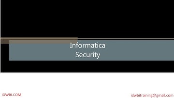 Informatica LDAP Set Up User Access Groups Roles Permissions