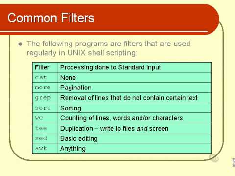 07. Unix Shell Scripting Tutorial - Text Processing (Part 1) - YouTube