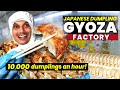 Inside a japanese gyoza dumpling factory  only in japan