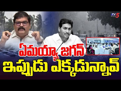 Pattabhi Fires On YCP Over Social Media Posts On Montha Cyclone | AP Rains | TV5 News - TV5NEWS