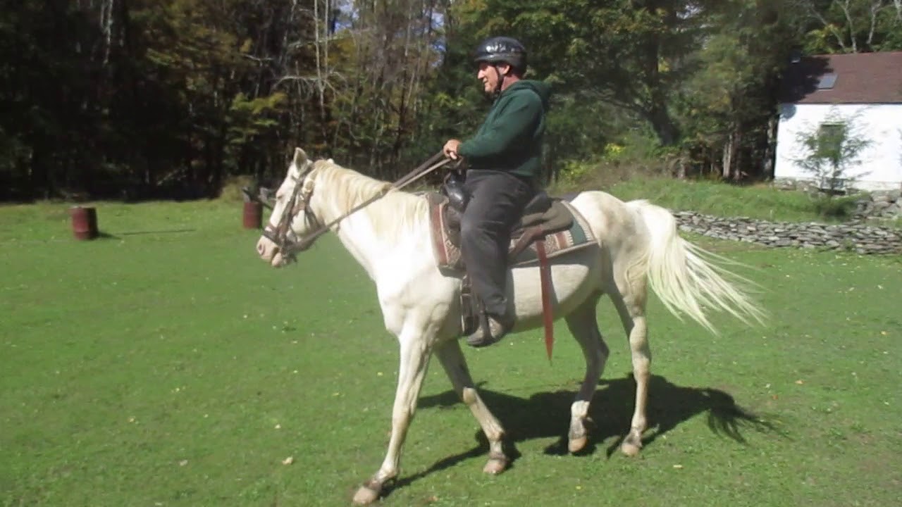 Ashokan Riding ClubAccardi Peter YouTube
