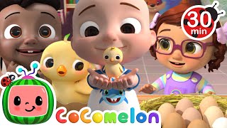Numbers Song with Little Chicks | CoComelon Nursery Rhymes & Kids Songs
