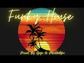 The Best Funky House Mix 2023 / Mixed by Gigi de Paschketyni - Session114