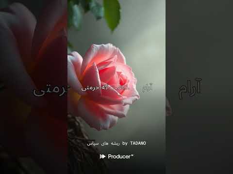 ریشه های سپاس   