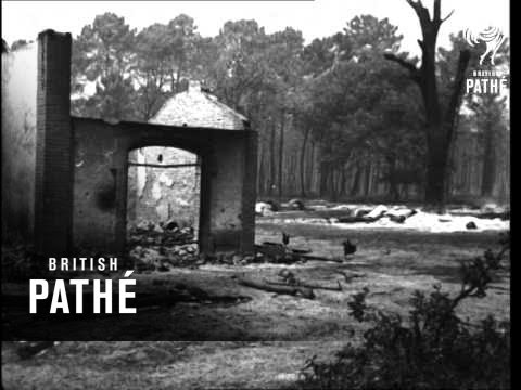 French Forest Fire (1949)