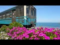 2026/05/19　紫陽花咲き始め　愛ある伊予灘線　〜愛媛県大洲市〜