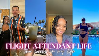 FLIGHT ATTENDANT LIFE: TWO WEEKS IN MY LIFE| VLOG 8  | THE WORLD OF WIS