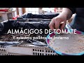 Como hacer Almácigos de Tomate y Pollitos de Invierno! Siembra Conmigo en Julio 🍅🐣 VLOG