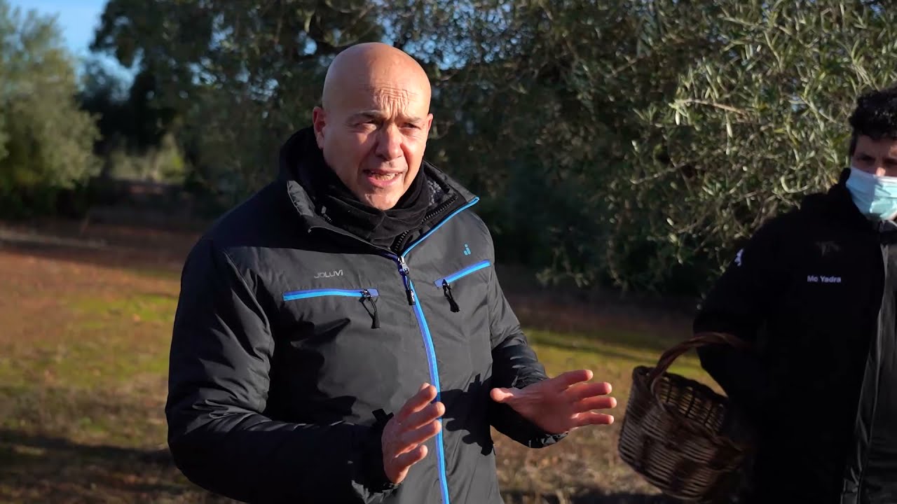 Ruta Micologica de Mycosfera 2021