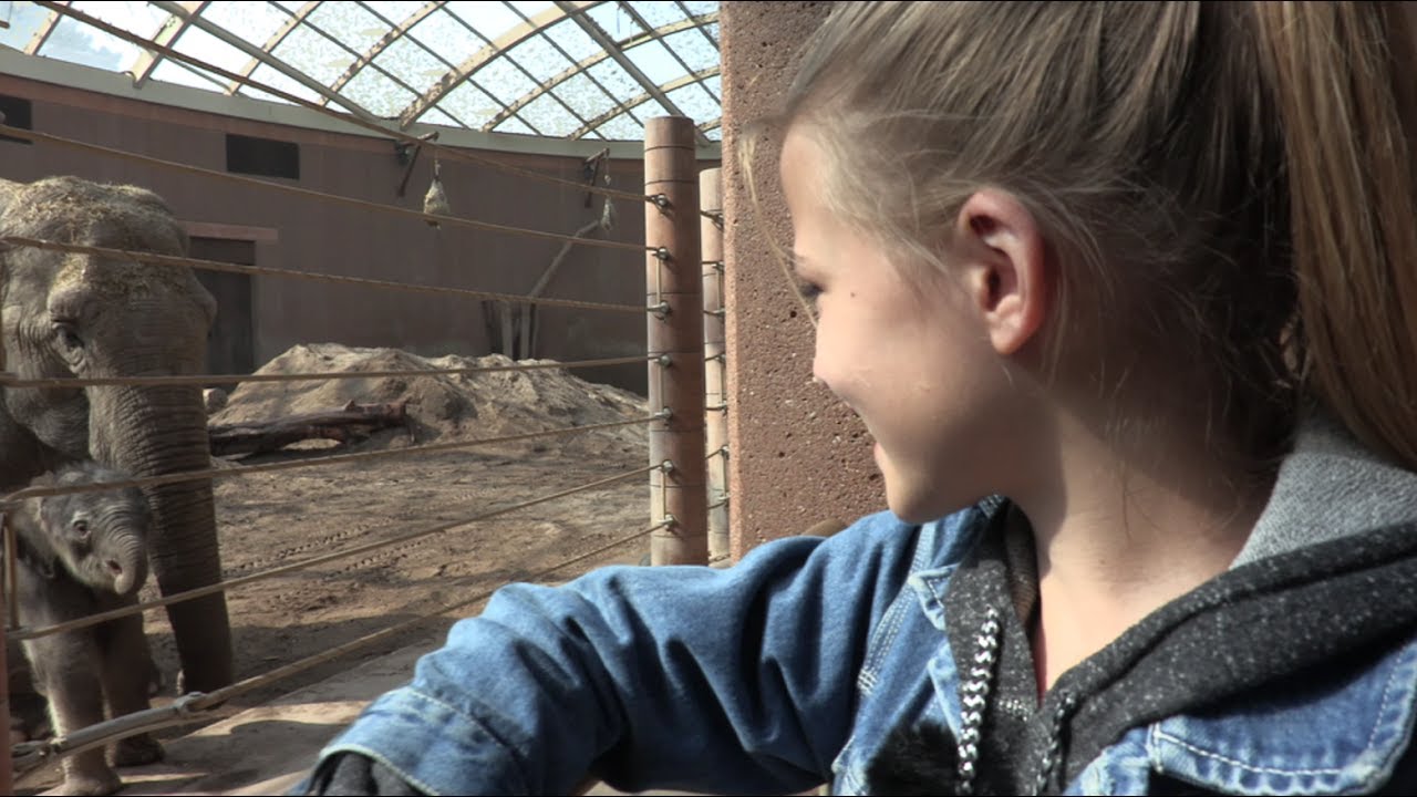 MENS VI VENTER PÅ ... PANDABJØRNENE Afsnit 2