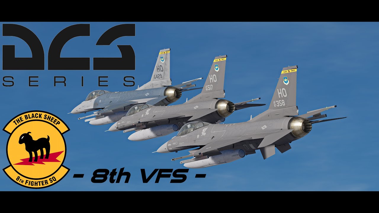 8th VFS SEAD Training【