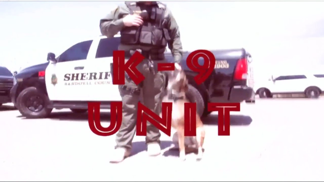 New K9 unit at Sandoval County Sheriff's Office now in effect YouTube