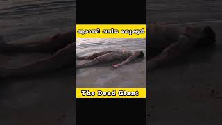 The  dead giant #shorts #malayalam #explanation