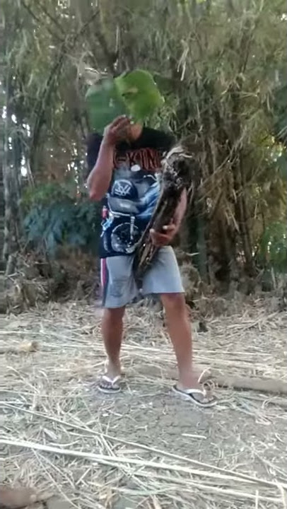 Story wa jaranan lucu pol
