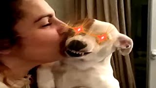 You want a kiss? NANI?!