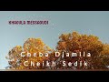 Cheba Djamila Et Cheikh Sedik Zinet Lebnat 