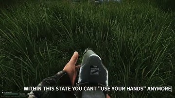 RELOAD BUG TARKOV