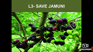 L3- Save Jamuni