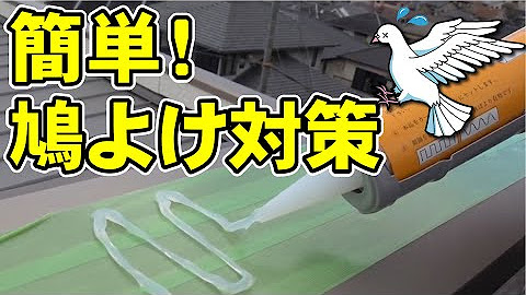 女性にも出来る害虫駆除 Youtube
