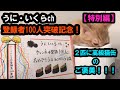 うにいくらch　その７【特別編】チャンネル登録者１００人突破記念！高級猫缶のご褒美！（ASMR/高音質/高画質）