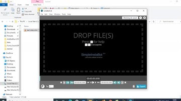How to extract all streams from any video format with lossless cut