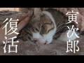 寅次郎復活！