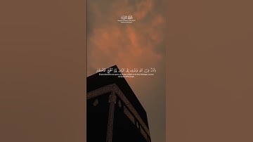 #اكسبلور #المصحف #راحة_نفسية #الرحمن #دويتو     سورة التوبة