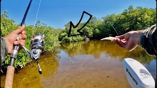 Fishing and Exploring The Backcountry on Gheenoe!!