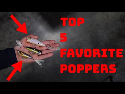 Our Top 5 Favorite Poppers To Catch Bass All Year Round! 