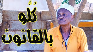 كلو بالقانون | النجم ربيع طه 