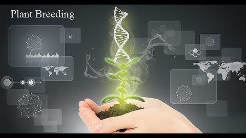 Bentham and Hooker’s classification of plant kingdom in Tamil (PART-1 in lec-1)