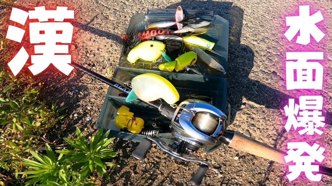 これぞ漢のバス釣り！悪条件の五三川にてトップで水面爆発！  [五三川バス釣り][トップウォーターバス釣り]